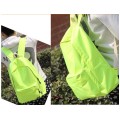 Fluorescent Backpack