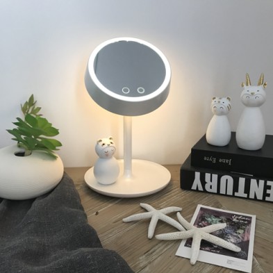 SkinWard Makeup mirror table lamp