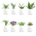 Bluetooth Smart Music Flower Pot