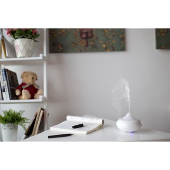 UK plug Ultrasonic Aroma Humidifier(small size)