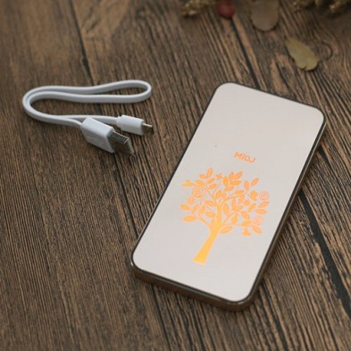 Metal LED Power Bank 5000 mAh