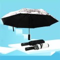 Multifunctional Misting Fan Umbrella