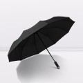 Bensche Auto Umbrella