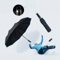 Bensche Auto Umbrella