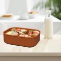 Four-Compartment Silicone Lunch Box