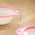 Pet Silicone Folding Bowl