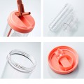 Fruit Infuser Straw Plastic Water Bottle 800ml