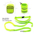 Elastic hands free dog leash