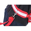 Elastic hands free dog leash