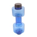 Dumbbell sports water bottle