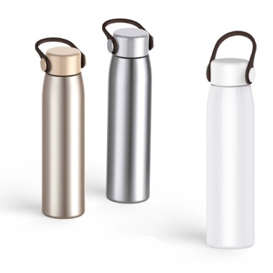 Stainless Steel Thermos with Handle