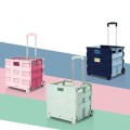 Foldable Plastic Trolley