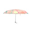 3 sections Folding umbrella -The Shaw Prize Foundation