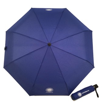 Windproof automatic umbrella-HKTPA