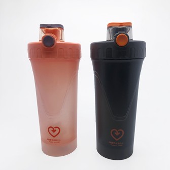 Sports Shaker Bottle 650ml-SSPDHC