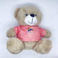 Custom-Made Brand Plush Toy - Manulife