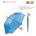 Regular straight umbrella