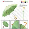 Regular straight umbrella